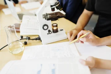 traductor de artículos, revisor de artículos, traducción de papers, traducción de manuscritos